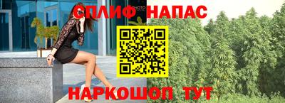 гашик Малгобек